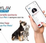 Scopri MyLavforPets: la rivoluzione nella gestione della salute del tuo animale